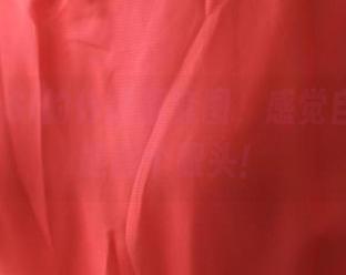 拿到ROSI的体操服套图，感觉自己差点能翻个跟头！